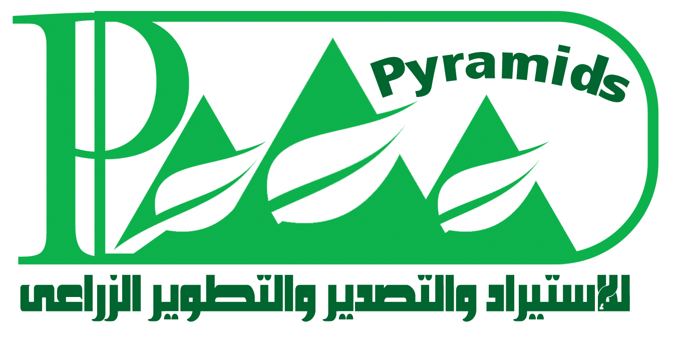 شعار الشريك 8